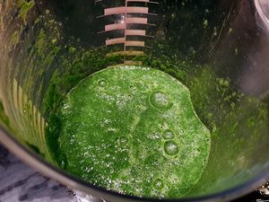 Escargots sur jus de persil et crème d'ail