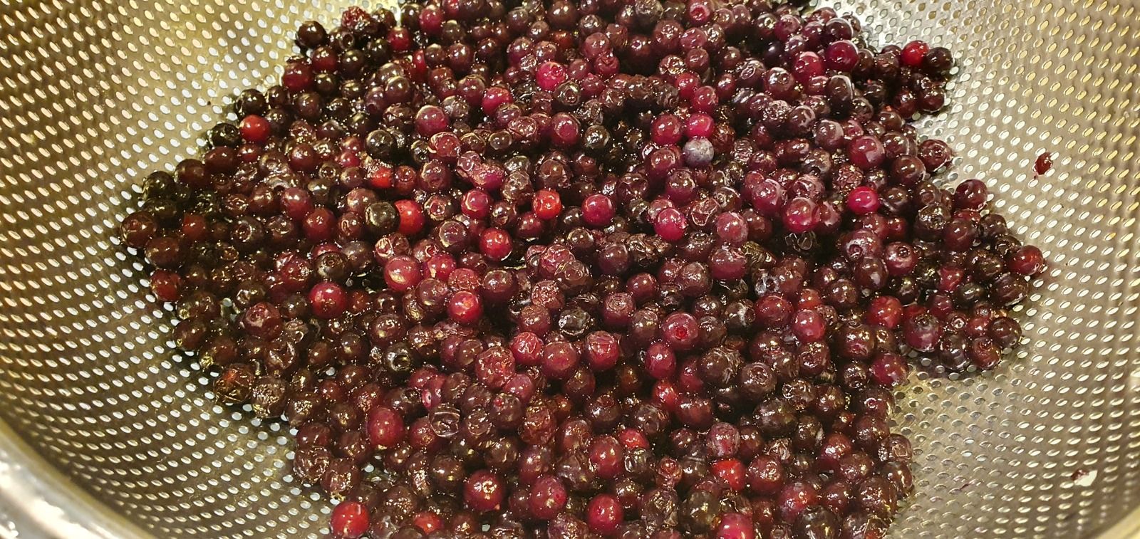 Brownies au chocolat et aux myrtilles