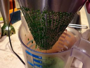 Escargots sur jus de persil et crème d'ail