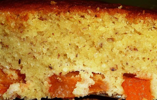 Gâteau au yaourt et abricots