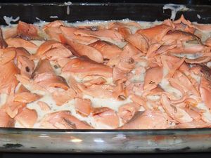 Lasagne au saumon et aux crevettes