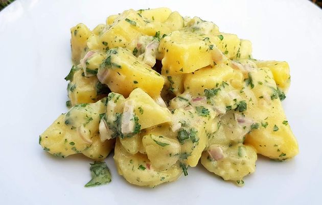 Salade de pommes de terre