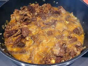 Pâtes aux morilles, crevettes et safran