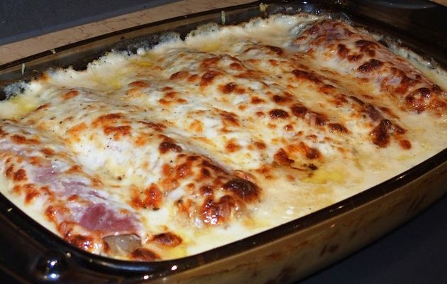 Endives au jambon ou chicons au gratin